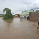 Flooding wreaks havoc in 17 Borno, Yobe LGAs