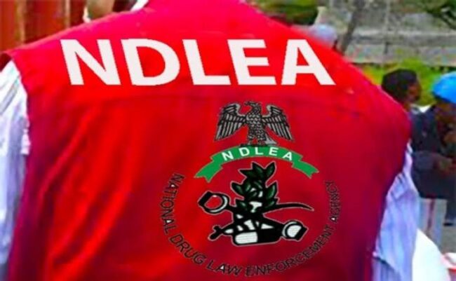 Return stolen pistol or face legal action, NDLEA warns Bayelsa community