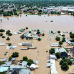 Crocodiles, snakes, other wild animals invade communities as flood hits Maiduguri zoo
