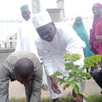 Project make it green initiative