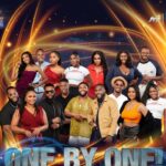 BBNaija S9: Housemates,