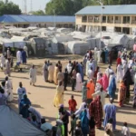 Benue govt raises alarm over snake invasion in IDP camps