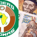 ECOWAS to dump single currency