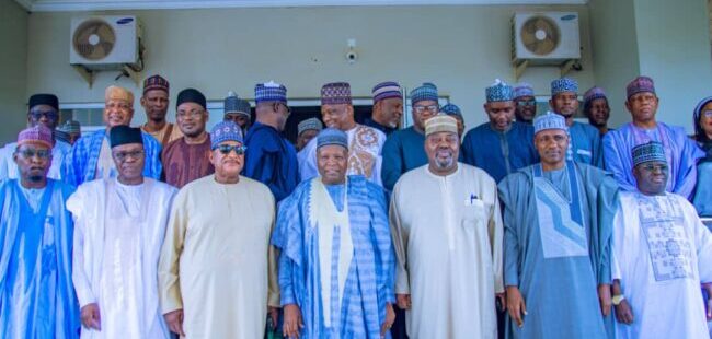 Northern governors pledge