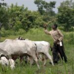 MACBAN bans underage herders, night grazing to curb clashes in Kwara