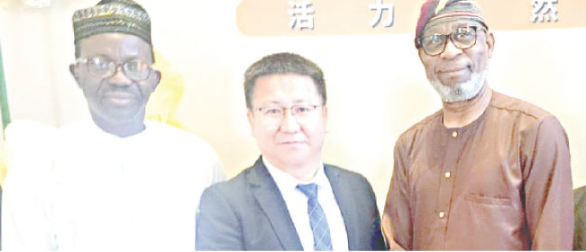 Alake hails b iron ore