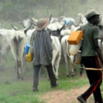 Lawyers seek justice for allegedly detained 14 cattle dealers