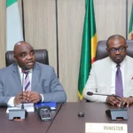 FG to audit all projects, enforce statutory insurance of PPP assets — ICRC
