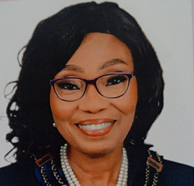 Women engineers urge FG to boost renewable energy to support national grid