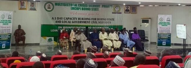 Borno govt unveils web app