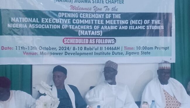 Global delegates to attend International conference in Yola—NATAIS President
