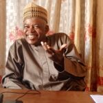 Political scientists fault Nigeria's liberal democracy   