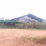 Omo Forest Reserve