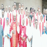 Making sense of new varsity curriculum