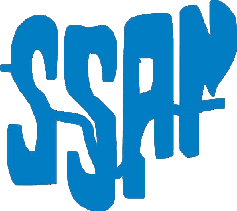 Gender, equal opportunities Bill crucial to Nigeria's democracy, progress – SSAN