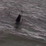 Fisherman seeks Chevron's compensation after boat sinks in Delta
