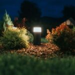 Smart Lighting
