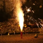 India's capital bans fireworks to curb air pollution