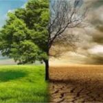 CHOGM: Nigeria pushes for urgent measures to tackle climate change