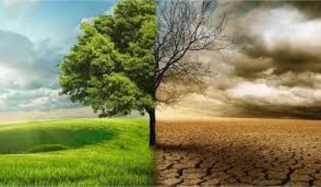 CHOGM: Nigeria pushes for urgent measures to tackle climate change