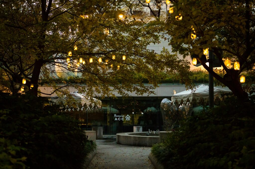 tree with yellow string lights