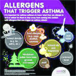 Things that can trigger asthma