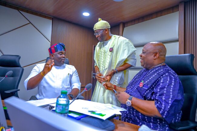 Reps review of 1999 Constitution