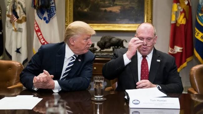 Trump appoints Tom Homan
