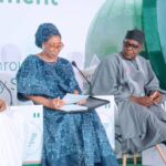 MDAs’ obsession with foreign contractors