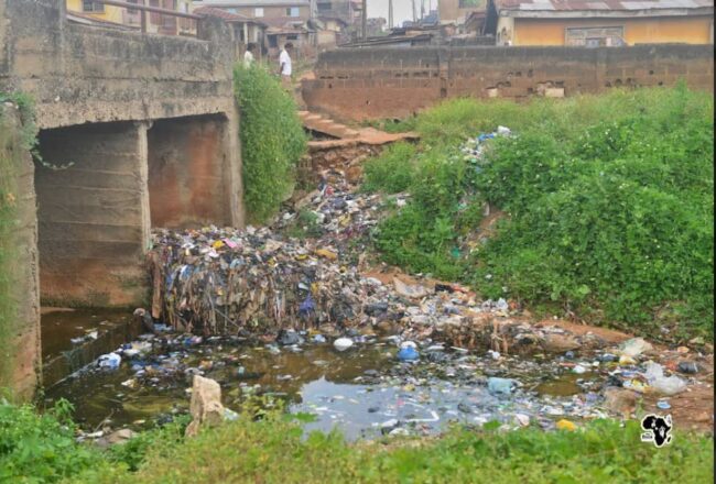 Why we partnered Oyo govt, others against environmental pollution —Traditionalists