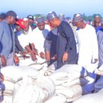 Zulum shares FG’s 100 trucks of grains