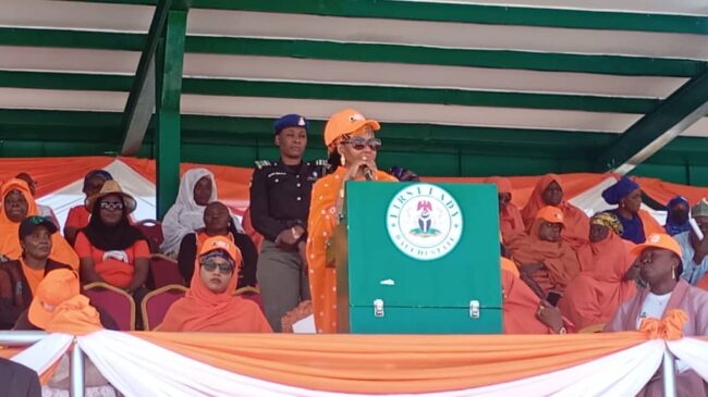 Bauchi govt, UNFPA flag off 16 days of activism to end violence against women, girls