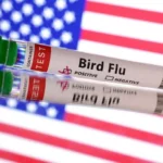 US records first human case of bird flu