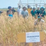 NCRI joins forces with farmers to make