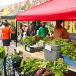 African markets in Canada