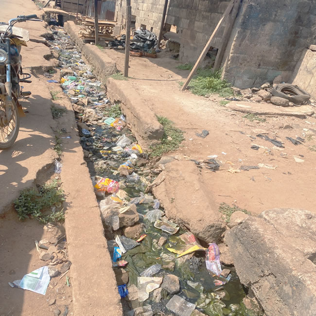 Many Nigerians still defecate in the open even