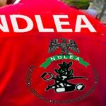 India-bound brothers, FG destroys drugs, NDLEA intercepts cocaine, France commends NDLEA, Turkey-bound businessman excretes, NDLEA arrests suspects, Sales rep files lawsuit against NDLEA, NDLEA arrests 415 suspects, NDLEA arrests two suspects in targeted operation in Kano