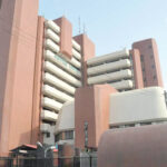 Nigerian Shippers Council and question