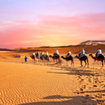 largest deserts in the world