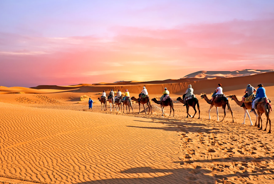 largest deserts in the world
