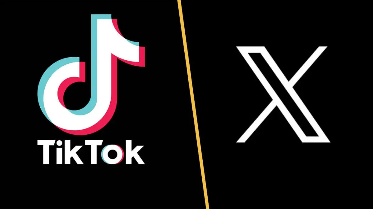 NITDA flags TikTok and X