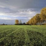 Expert calls for youths empowerment Firm targets women for affordable land ownership across Nigeria