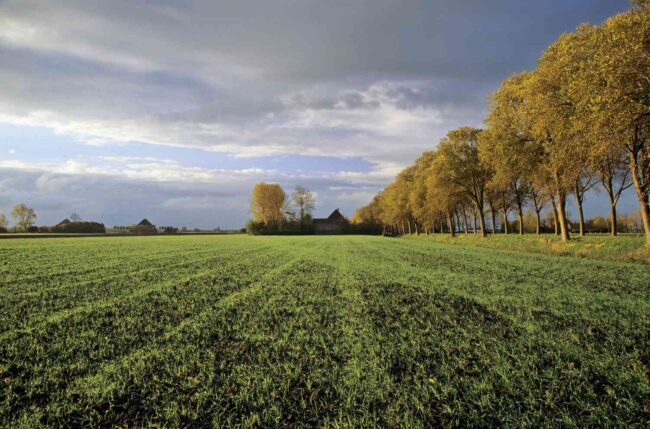 Firm targets women for affordable land ownership across Nigeria