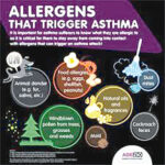 Factors that may trigger asthma