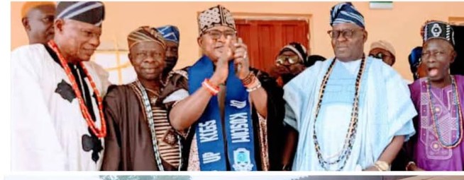 Adegoke's contributions to educational development