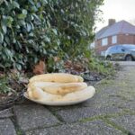 UK: Residents raise alarm over monthly peeled banana plates in junction