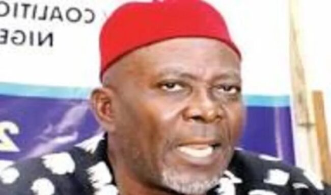 Okwukwu emerges Ohanaeze President