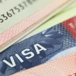 Japa: Saudi Arabia restricts Nigeria, 13 other countries to single-entry visas, Germany online visa portal, Germany's new visa application
