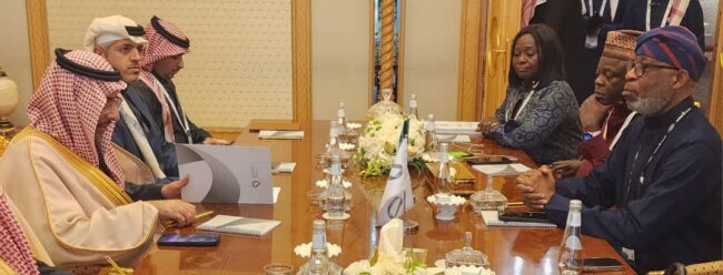 Nigeria, Saudi Arabia renew plans to build geological agencies' capacity