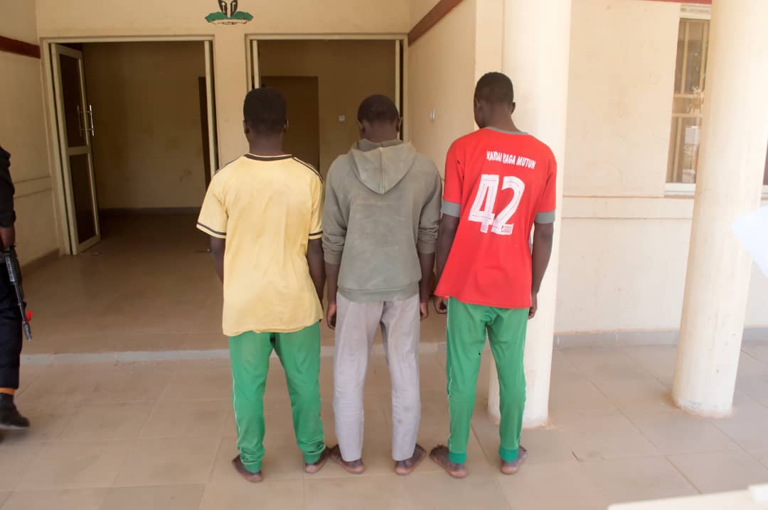 NSCDC arrests